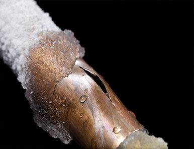 Automatic Lawn Sprinkler Winterization