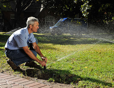 Mosquito Control