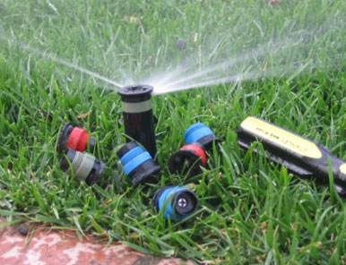 Mosquito Control