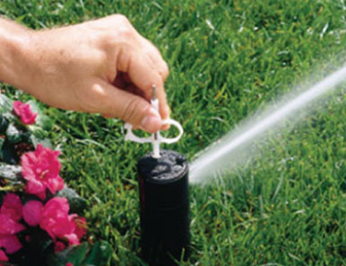 Mosquito Control