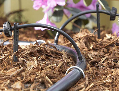 Drip Irrigation