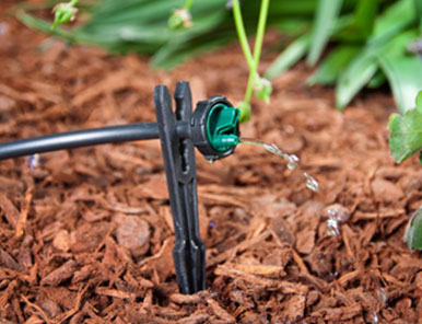 Drip Irrigation