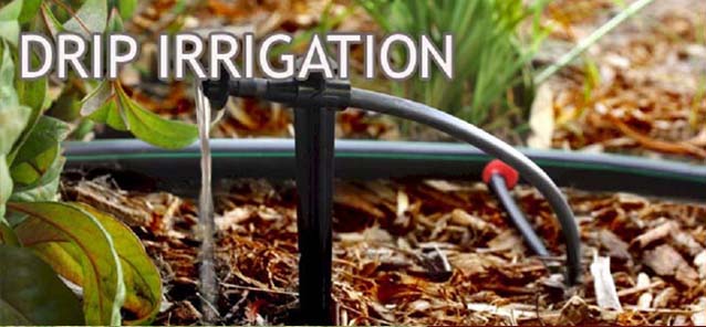 Lawn Sprinklers - Installtion, Service And Maintenance