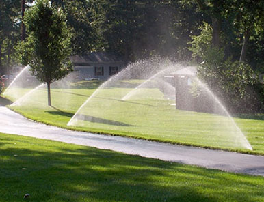 Irrigigation Sprint Start Ups