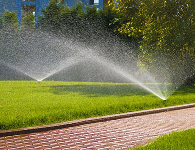 Irrigigation Sprint Start Ups