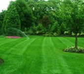 Winterize Your Long Island Lawn