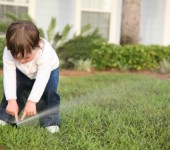 Sprinkler System Installation